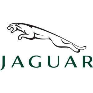 Jaguar tolatókamera