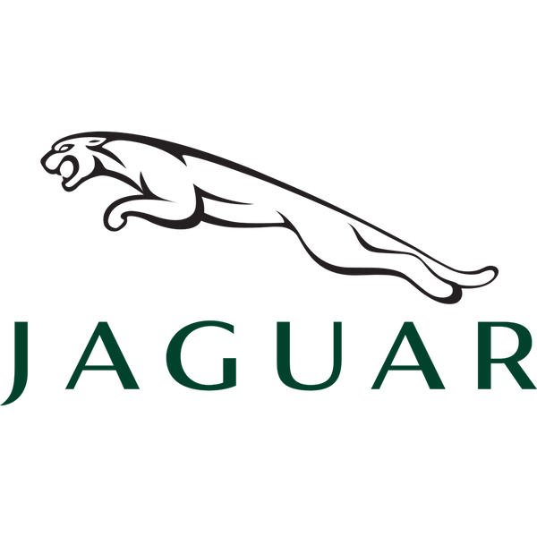 Jaguar tolatókamera