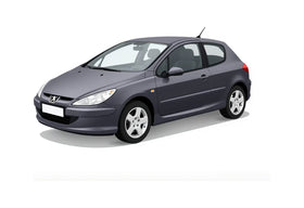 Peugeot 307 android multimédia