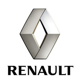 Renault fejegység